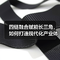 四链融合赋能长三角,如何打造现代化产业体系?(图1) 四链融合赋能长三角,如何打造现代化产业体系?(图1)