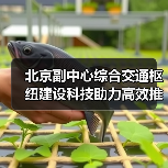 北京副中心综合交通枢纽建设科技助力高效推进(图1)