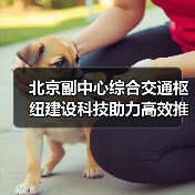北京副中心综合交通枢纽建设科技助力高效推进(图4)