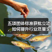 五项团体标准获批立项,如何提升行业质量实效性?(图2) 五项团体标准获批立项,如何提升行业质量实效性?(图2)