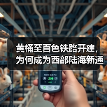 黄桶至百色铁路开建,为何成为西部陆海新通道关键一环?(图2) 黄桶至百色铁路开建,为何成为西部陆海新通道关键一环?(图2)