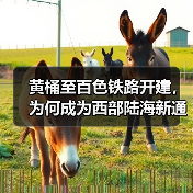 黄桶至百色铁路开建，为何成为西部陆海新通