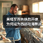 黄桶至百色铁路开建,为何成为西部陆海新通道关键一环?(图4) 黄桶至百色铁路开建,为何成为西部陆海新通道关键一环?(图4)