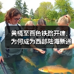 黄桶至百色铁路开建,为何成为西部陆海新通道关键一环?(图3) 黄桶至百色铁路开建,为何成为西部陆海新通道关键一环?(图3)
