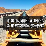 中国中小商业企业协会发布多项团体标准聚焦