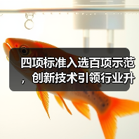 四项标准入选百项示范,创新技术引领行业升级(图2) 四项标准入选百项示范,创新技术引领行业升级(图2)