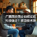 广西国资国企如何实现科技强企?多项技术领跑国际(图4) 广西国资国企如何实现科技强企?多项技术领跑国际(图4)