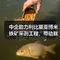 中企助力利比里亚博米铁矿采剥工程，带动就