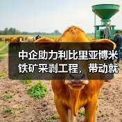中企助力利比里亚博米铁矿采剥工程,带动就业发展(图2) 中企助力利比里亚博米铁矿采剥工程,带动就业发展(图2)