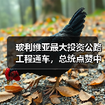玻利维亚最大投资公路工程通车,总统点赞中玻合作成果(图4) 玻利维亚最大投资公路工程通车,总统点赞中玻合作成果(图4)