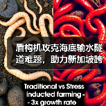 盾构机攻克海底输水隧道难题,助力新加坡跨海工程贯通(图3) 盾构机攻克海底输水隧道难题,助力新加坡跨海工程贯通(图3)