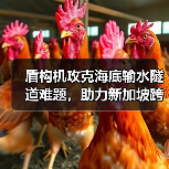 盾构机攻克海底输水隧道难题,助力新加坡跨海工程贯通(图4) 盾构机攻克海底输水隧道难题,助力新加坡跨海工程贯通(图4)