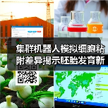 集群机器人模拟细胞粘附差异揭示胚胎发育新机制(图2)