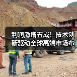 利润激增五成！技术创新驱动全球高端市场布局(图3)