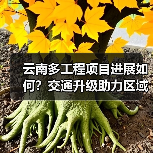 云南多工程项目进展如何？交通升级助力区域发展(图2)