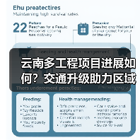 云南多工程项目进展如何？交通升级助力区域发展(图4)