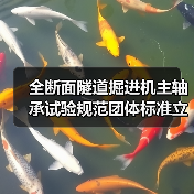 全断面隧道掘进机主轴承试验规范团体标准立项获批(图3)