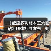 《数控多功能木工六面钻》团体标准发布，规范行业技术参数(图4)