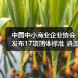 中国中小商业企业协会发布17项团体标准 涵盖建筑机械等领域(图1)