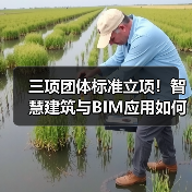 三项团体标准立项！智慧建筑与BIM应用如何推动行业数字化？(图3)