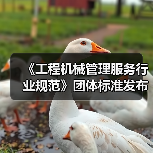 《工程机械管理服务行业规范》团体标准发布，推动行业规范化管理(图1)