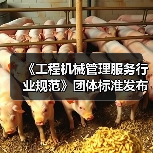 《工程机械管理服务行业规范》团体标准发布，推动行业规范化管理(图4)