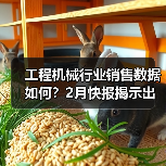 工程机械行业销售数据如何？2月快报揭示出口增长亮点(图2)