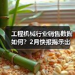 工程机械行业销售数据如何？2月快报揭示出口增长亮点(图4)