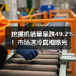 挖掘机销量暴跌49.2%！市场遇冷真相曝光(图2)