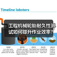 工程机械轮胎耐久性测试如何提升作业效率？关键技巧解析(图4)
