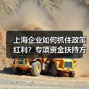 上海企业如何抓住政策红利？专项资金扶持方向全解析(图1)