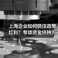 上海企业如何抓住政策红利？专项资金扶持方向全解析(图4)