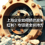 上海企业如何抓住政策红利？专项资金扶持方向全解析(图3)
