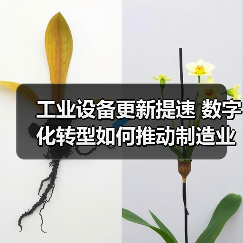 工业设备更新提速 数字化转型如何推动制造业升级(图2)