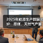 2025年能源生产数据出炉：原煤、天然气产量增长显著(图3)