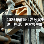 2025年能源生产数据出炉：原煤、天然气产量增长显著(图4)