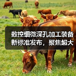 数控细微深孔加工装备新标准发布,聚焦超大深径比孔加工设备(图4) 数控细微深孔加工装备新标准发布,聚焦超大深径比孔加工设备(图4)