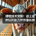 硬核技术突围！徐工旋挖钻机助力世界最长跨海铁路桥(图4)