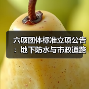 六项团体标准立项公告：地下防水与市政道路