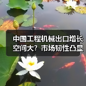 中国工程机械出口增长空间大？市场韧性凸显(图3)