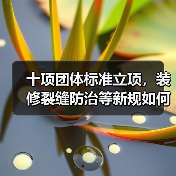 十项团体标准立项,装修裂缝防治等新规如何影响行业?(图1) 十项团体标准立项,装修裂缝防治等新规如何影响行业?(图1)