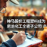 神马股份工程塑料成为尼龙化工全资子公司 产业布局如何优化(图2)