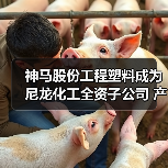 神马股份工程塑料成为尼龙化工全资子公司 产业布局如何优化(图3)