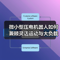 微小型压电机器人如何兼顾灵活运动与大负载
