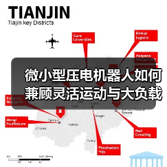 微小型压电机器人如何兼顾灵活运动与大负载?哈工大团队提出新方案(图2) 微小型压电机器人如何兼顾灵活运动与大负载?哈工大团队提出新方案(图2)