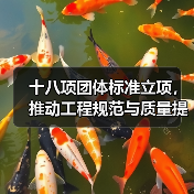 十八项团体标准立项，推动工程规范与质量提