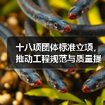 十八项团体标准立项,推动工程规范与质量提升(图2) 十八项团体标准立项,推动工程规范与质量提升(图2)