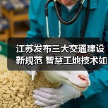 江苏发布三大交通建设新规范 智慧工地技术如何升级？(图2)