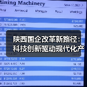 陕西国企改革新路径：科技创新驱动现代化产业体系构建(图4)