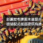 新疆发布覆面木基复合板装配式低层建筑构造图集新规(图3) 新疆发布覆面木基复合板装配式低层建筑构造图集新规(图3)